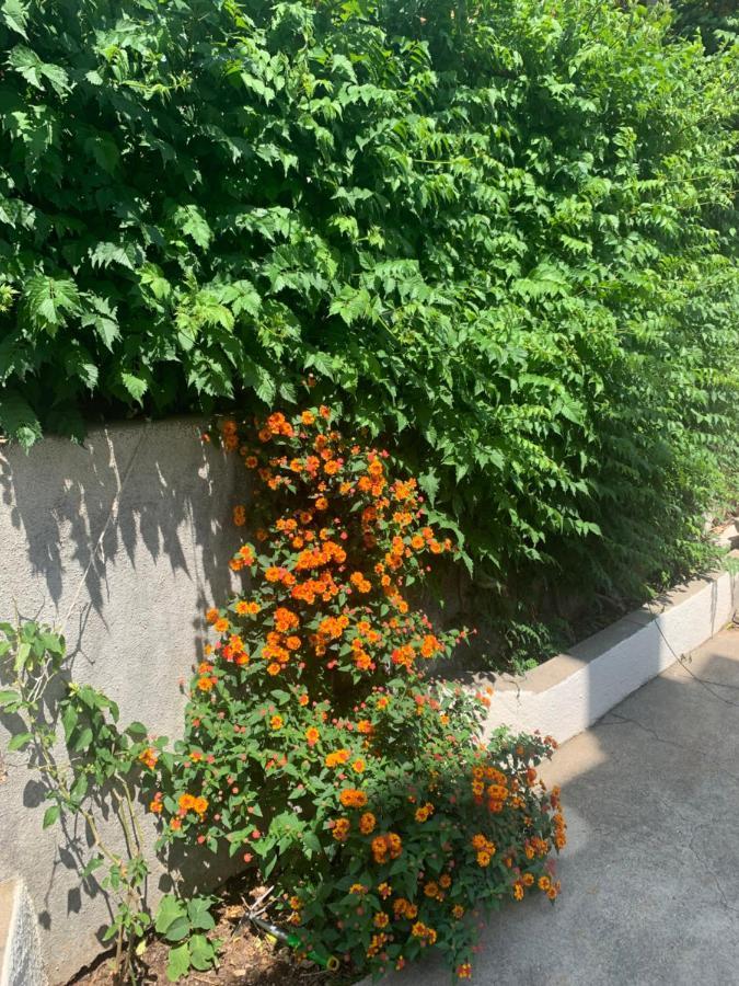 Aida Apartments And Rooms For Couples And Families Free Parking ดูบรอฟนิก ภายนอก รูปภาพ